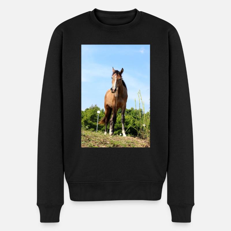 cheval - Pull Premium bio Homme - noir