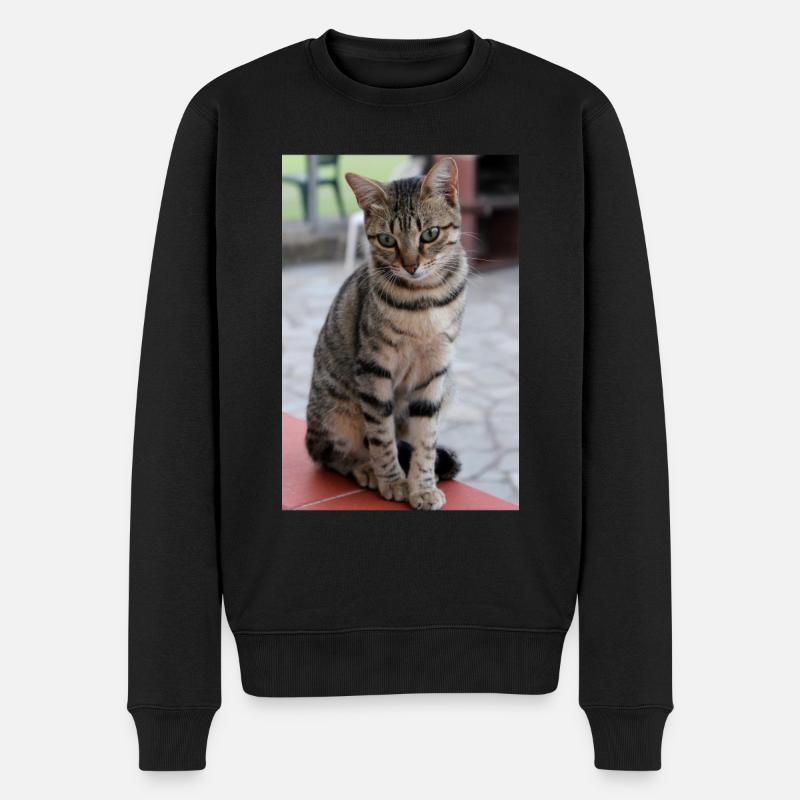 Katze, Kätzchen - Männer Premium Bio Pullover - Schwarz
