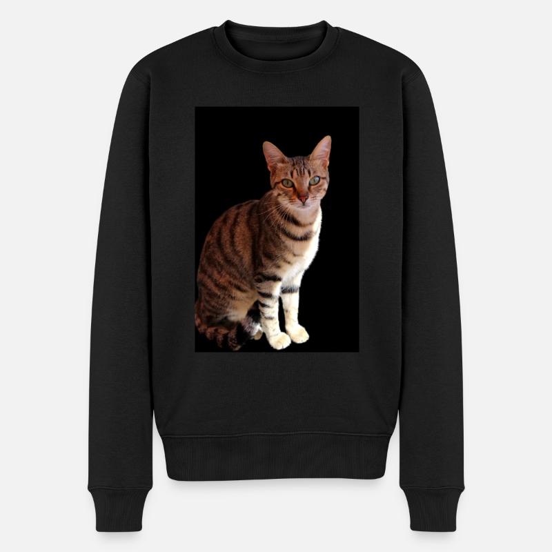 Chat chat chaton doux - Pull Premium bio Homme - noir