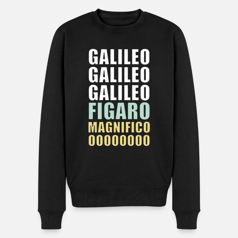Galileo Figaro Magnificent - Männer Premium Bio Pullover - Schwarz