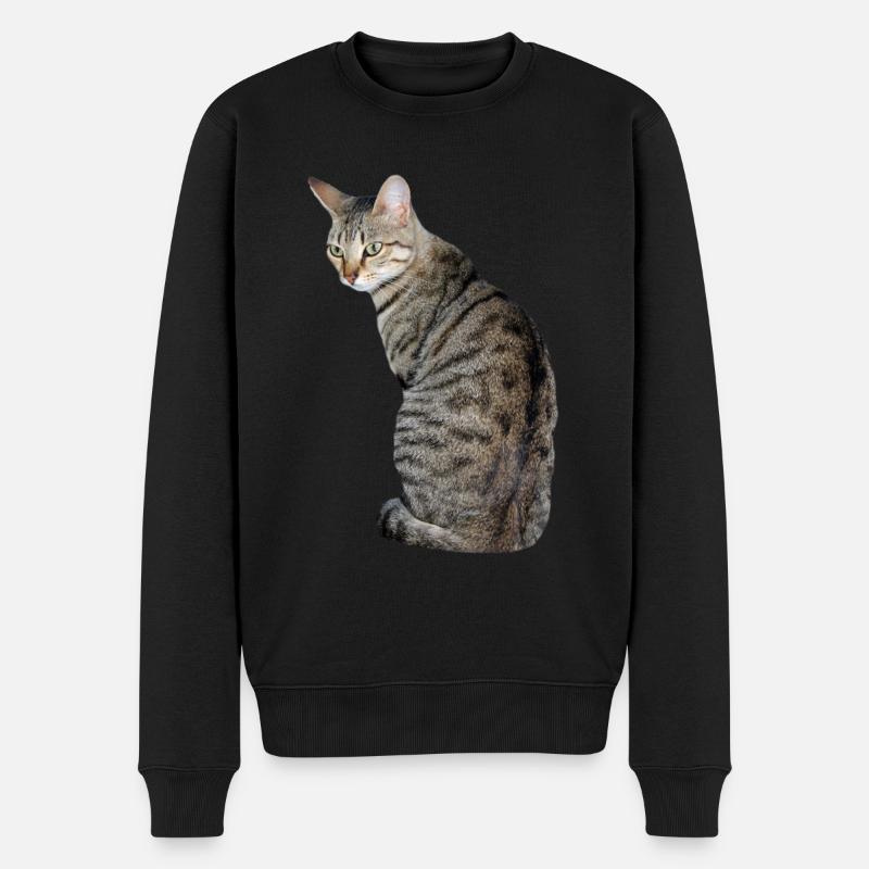 Katze Kätzchen Tigerkatze - Männer Premium Bio Pullover - Schwarz