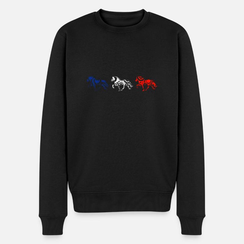Tölt Islandpferde - richtig - Männer Premium Bio Pullover - Schwarz