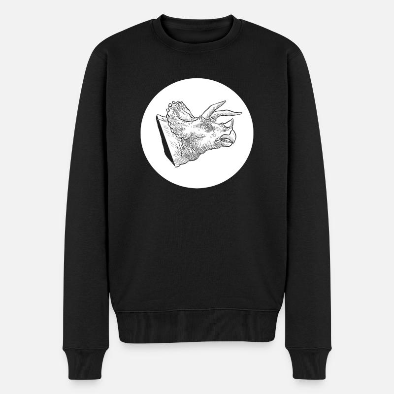 Dinosaure dinosaure Triceratops dinosaure - Pull Premium bio Homme - noir