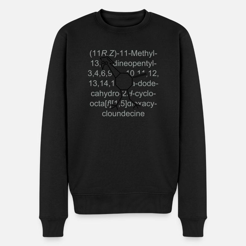 Bigbird - oiseaux - chimie - Pull Premium bio Homme - noir