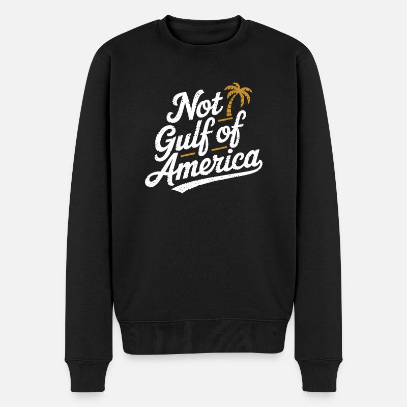 Pas le golfe d’Amérique - Pull Premium bio Homme - noir