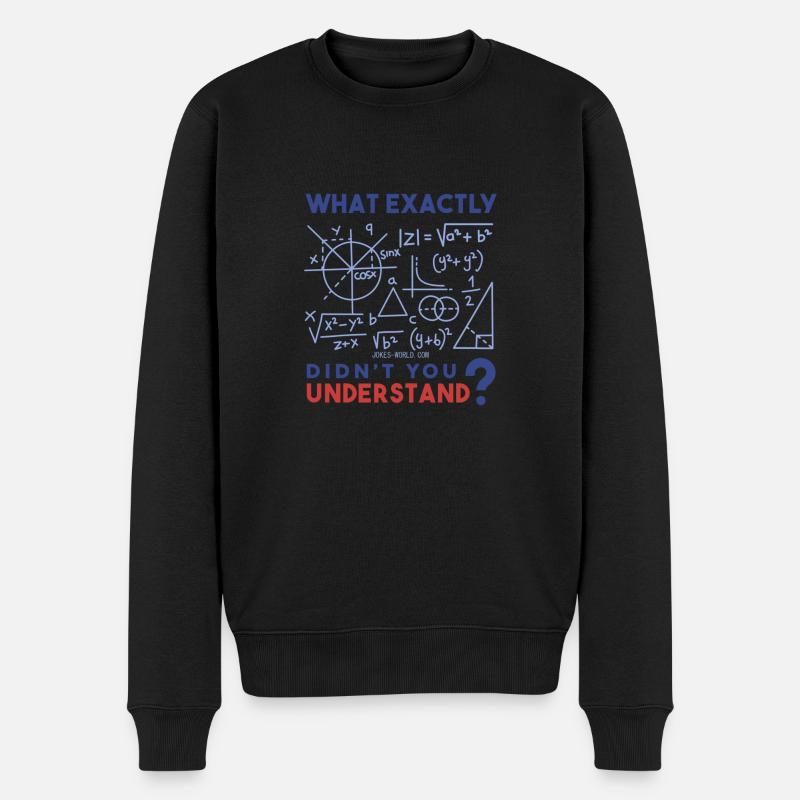 Was genau verstehst Du nicht? Mathe-Freak. - Männer Premium Bio Pullover - Schwarz