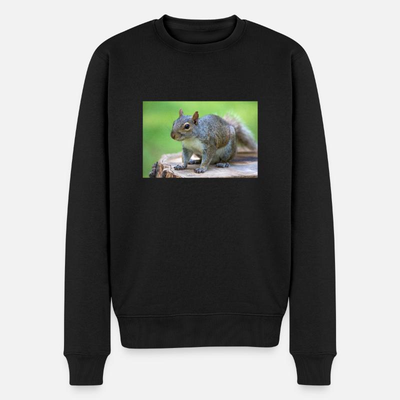 Grauhörnchen Sciurus carolinensis - Männer Premium Bio Pullover - Schwarz