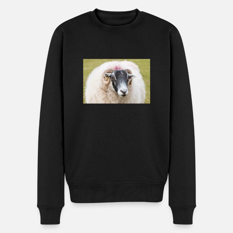 Schaf Ovis in Irland - Männer Premium Bio Pullover - Schwarz