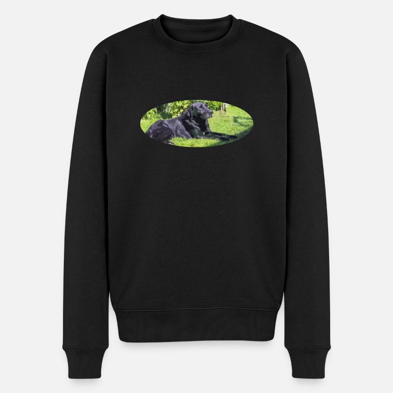 labrador - Pull Premium bio Homme - noir