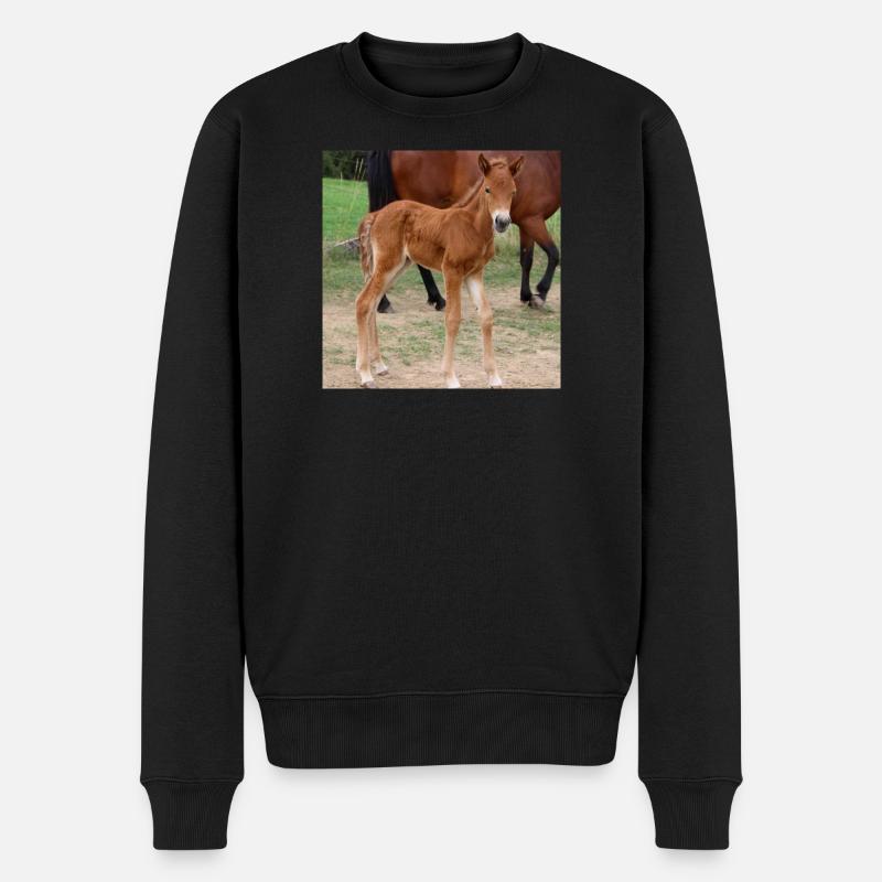 Pferd Pferdeposter - Männer Premium Bio Pullover - Schwarz