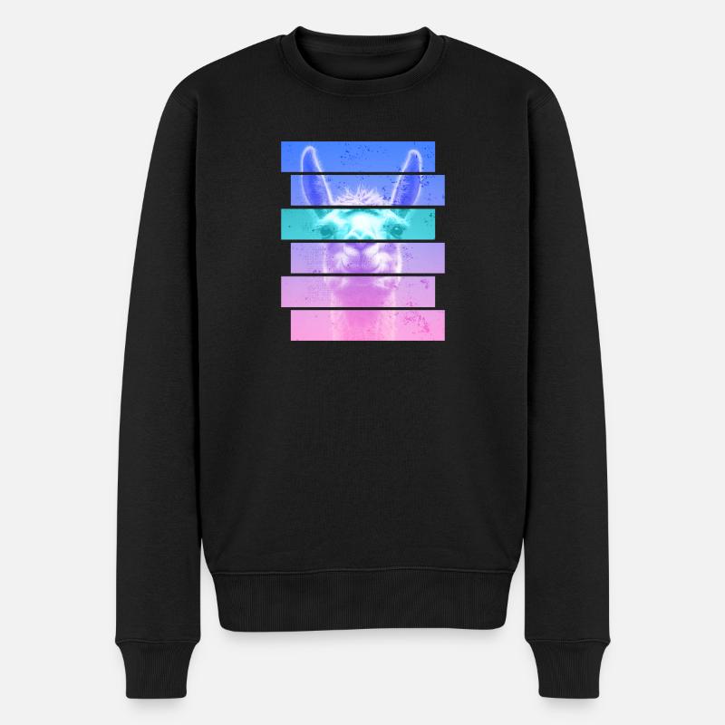 Alpaga - Pull Premium bio Homme - noir