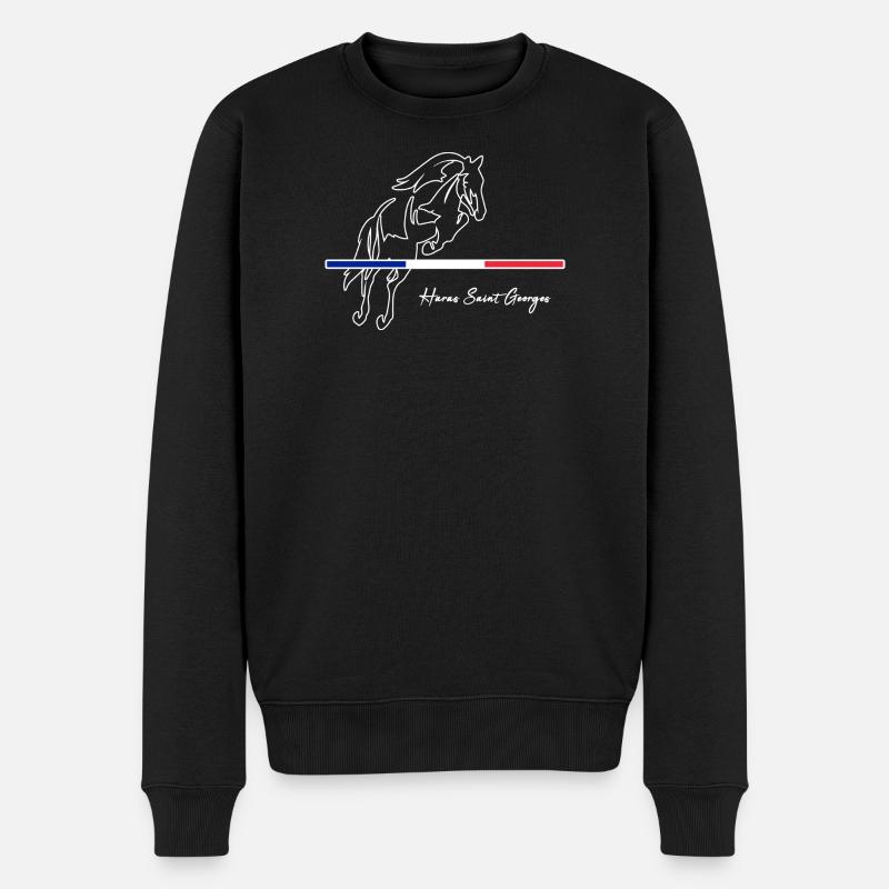 HSGsansfond2 - Männer Premium Bio Pullover - Schwarz