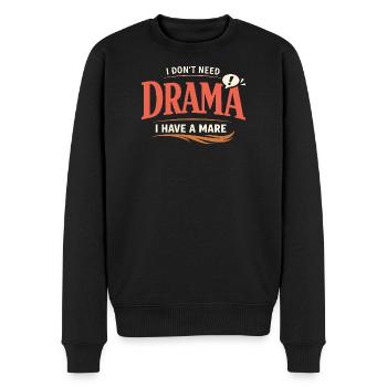 Pferdestimmung Humor Erfahrener Pferdebesitzer - Männer Premium Bio Pullover - Schwarz - Vorne - Nico (187cm)