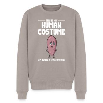 Légumes-racines de patates douces - Pull Premium bio Homme - taupe - Devant - Nico (187cm)