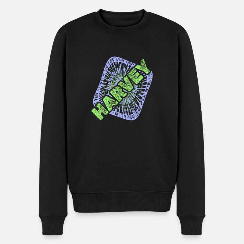 Harvey - Männer Premium Bio Pullover - Schwarz
