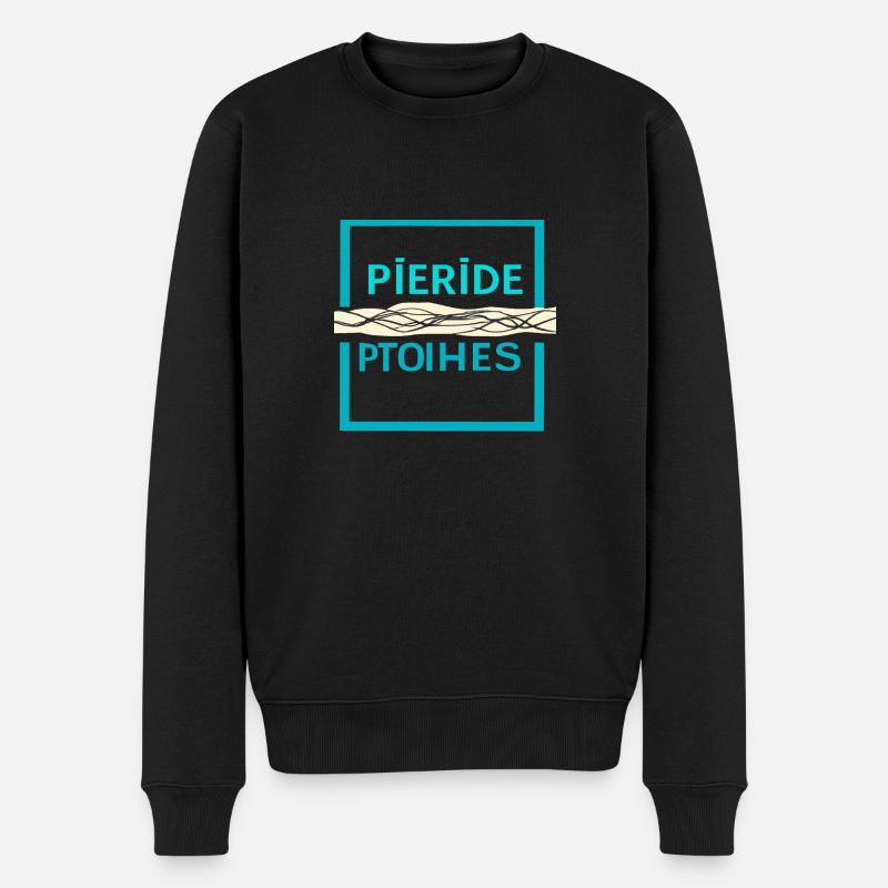 PIERIDE PTOIHES - Männer Premium Bio Pullover - Schwarz