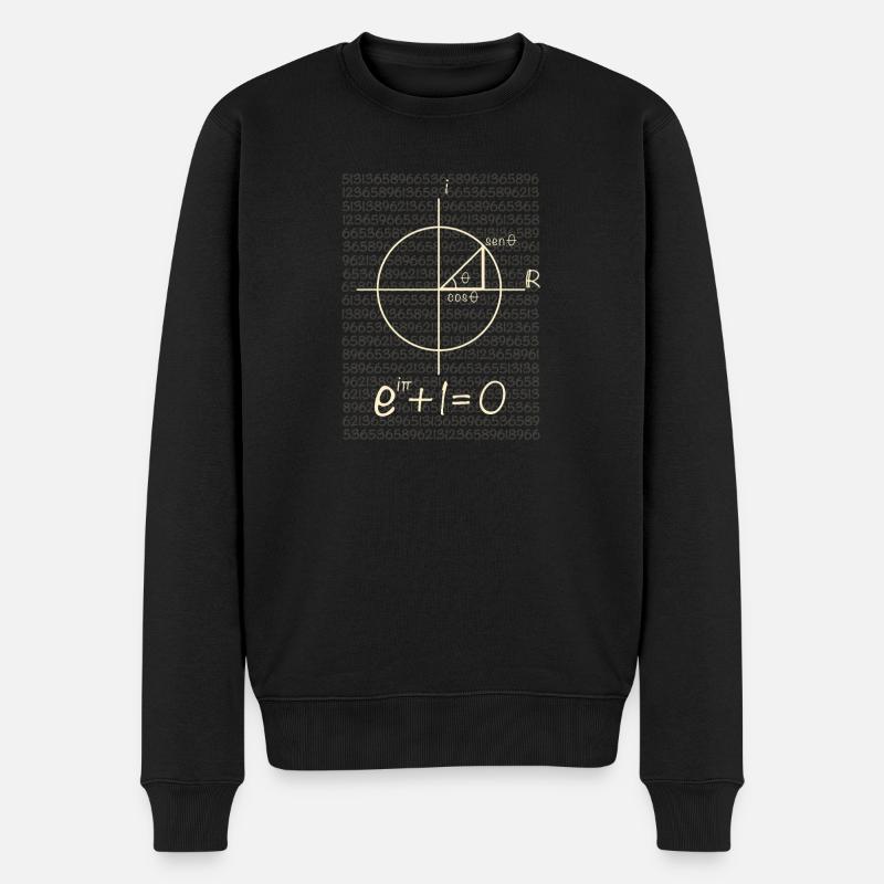 Eulersche Gleichung - Männer Premium Bio Pullover - Schwarz