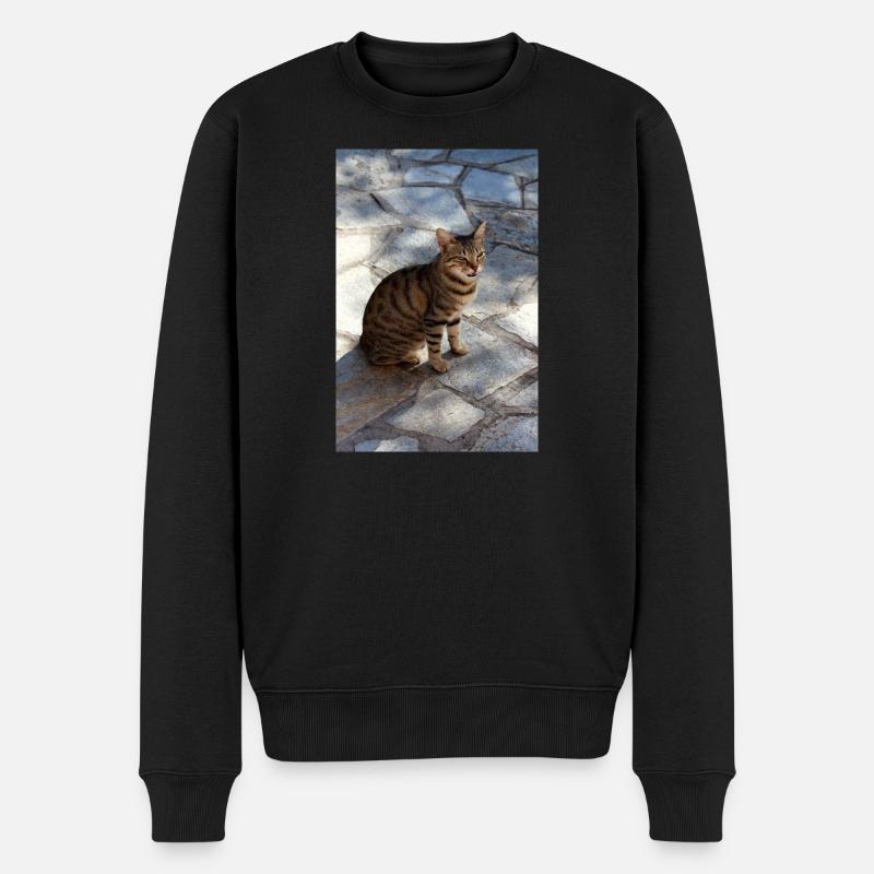 Katze Kätzchen - Männer Premium Bio Pullover - Schwarz