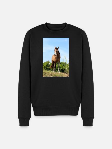 Affiche Cheval Cheval - Pull Premium bio Homme - noir