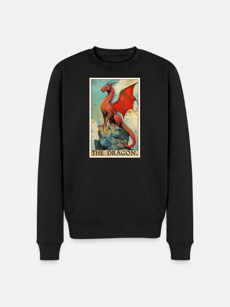 Dragon Dragon - Men's Premium Organic Jumper - black