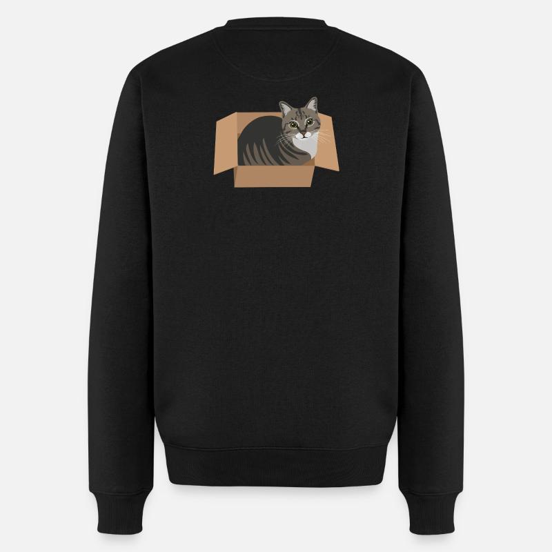 Chat dans une boîte - Pull Premium bio Homme - noir