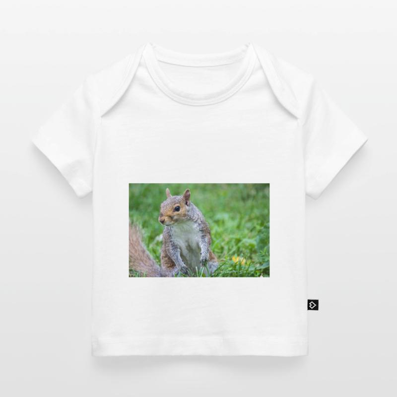 Grey squirrel Grauhörnchen Sciurus carolinensis Baby Premium Organic T-shirt