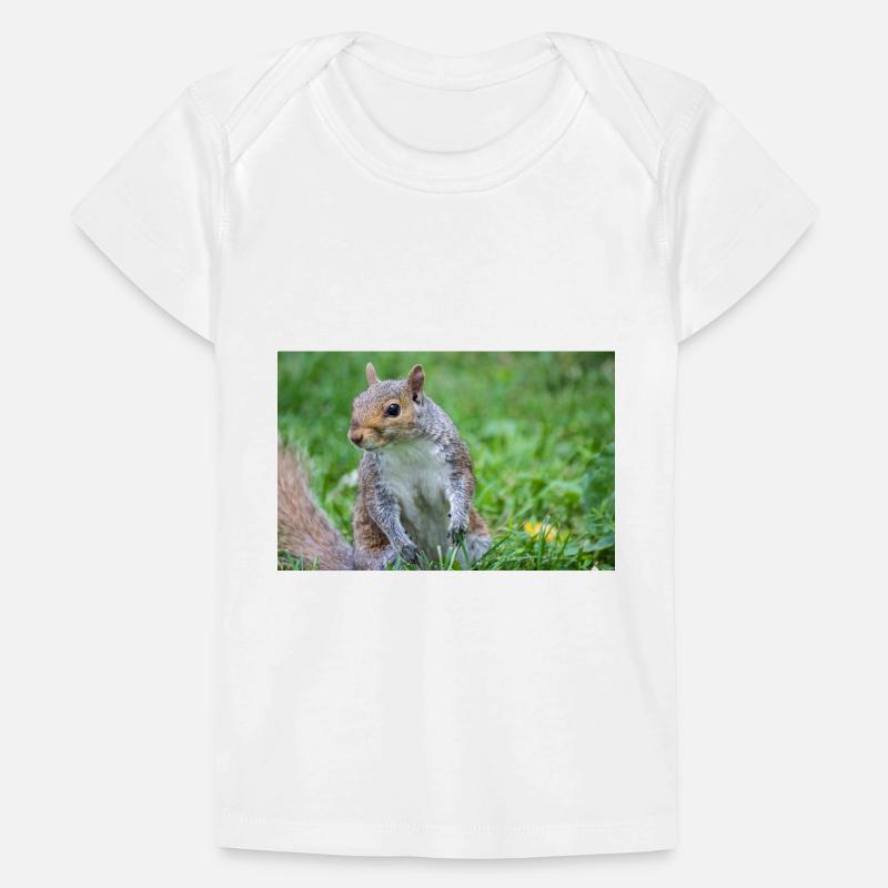 Grey squirrel Grauhörnchen Sciurus carolinensis Baby Premium Organic T-shirt