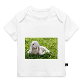 Lamb with a kiss - Baby Premium Organic T-shirt - white - Front
