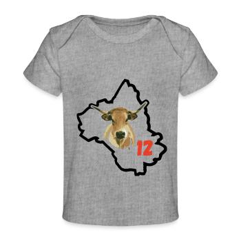Aveyron en France - T-shirt Premium bébé bio - gris chiné - Devant