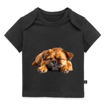 Brussels Griffon - Baby Premium Organic T-Shirt - Schwarz - Vorne
