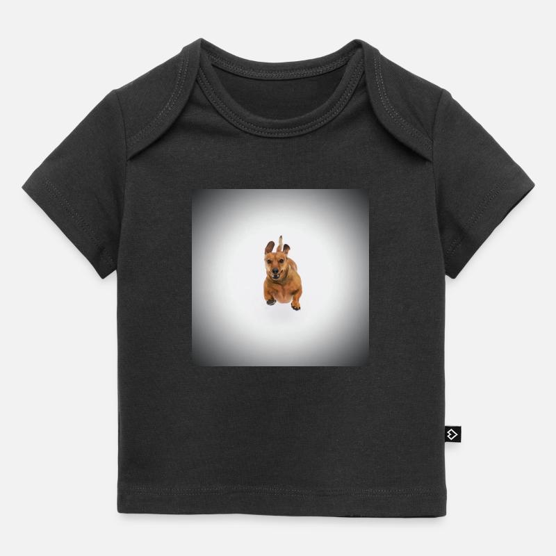 Teckel brun - T-shirt Premium bébé bio - noir