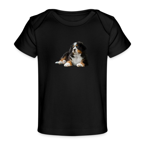 Berner Sennenhund - Baby Bio-T-Shirt