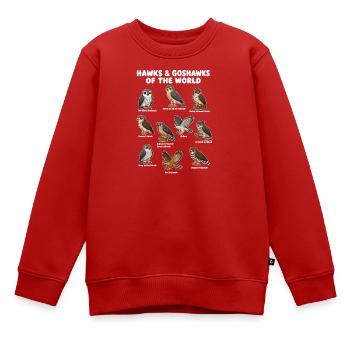  Vogelbeobachtungskarte Für Falken Und Habichte - Kinder Premium Organic Sweatshirt - Rot - Vorne - AI Model Kid Female (0cm)