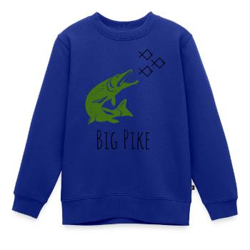 Big Pike - Kinder Premium Organic Sweatshirt - Royalblau - Vorne - AI Model Kid Female (0cm)