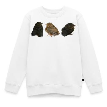 Robin Branches - Sweat Premium enfant bio - blanc - Devant - AI Model Kid Male (0cm)