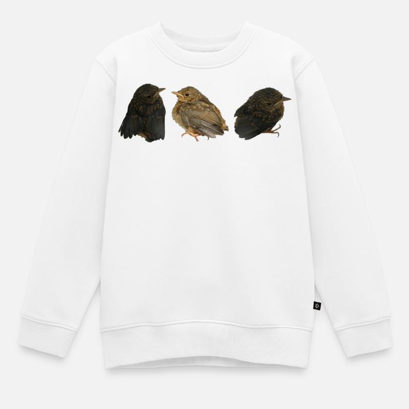 Rotkehlchen Ästlinge - Kinder Premium Organic Sweatshirt - Weiß