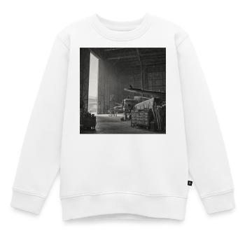 Rabe auf Flugzeug Lost Place Vintage Animal Crime - Kinder Premium Organic Sweatshirt - Weiß - Vorne - AI Model Kid Male (0cm)