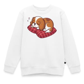 Chiot endormi sur oreiller à carreaux - Sweat Premium enfant bio - blanc - Devant - AI Model Kid Male (0cm)