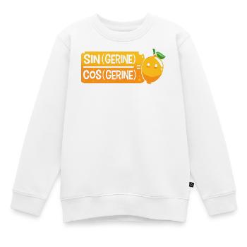 Mathematik mathematisch Mathe Mathematiker - Kinder Premium Organic Sweatshirt - Weiß - Vorne - AI Model Kid Male (0cm)