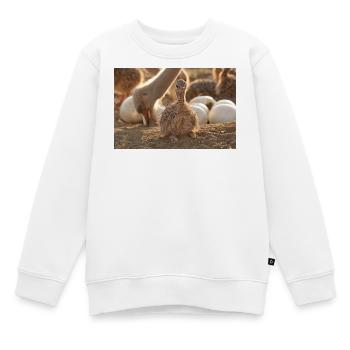 Straußenkücken im Nest - Kinder Premium Organic Sweatshirt - Weiß - Vorne - AI Model Kid Male (0cm)