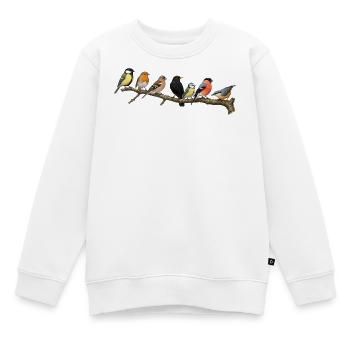 Native songbirds on a branch - Kids Premium Organic Sweatshirt - white - Front - AI Model Kid Male (0cm)