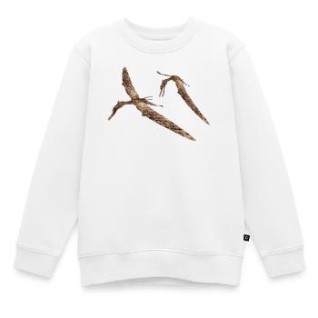 Flugsaurier Zhenyuanopterus - Kinder Premium Organic Sweatshirt - Weiß - Vorne - AI Model Kid Male (0cm)