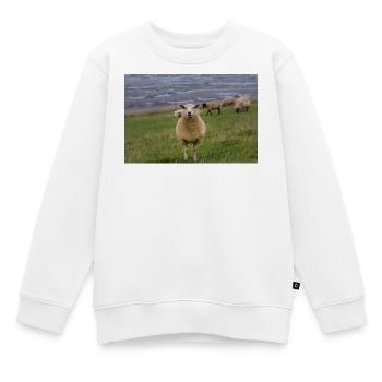 Schaf auf dem Deich an der Küste - Kinder Premium Organic Sweatshirt - Weiß - Vorne - AI Model Kid Male (0cm)