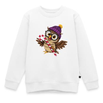 Niedliche Eulen mit Wintermütze und Zuckerstange - Kinder Premium Organic Sweatshirt - Weiß - Vorne - AI Model Kid Male (0cm)