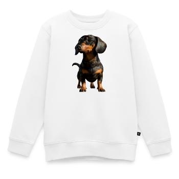 Teckel, Teckel, Teckel miniature, Dachshund Club, Teckel - Sweat Premium enfant bio - blanc - Devant - AI Model Kid Male (0cm)