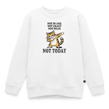 Nicht heute lustige Katze Sarkasmus Design - Kinder Premium Organic Sweatshirt - Weiß - Vorne - AI Model Kid Male (0cm)