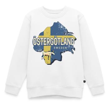 Östergötland Schweden Retro Provinz Souvenir - Kinder Premium Organic Sweatshirt - Weiß - Vorne - AI Model Kid Male (0cm)