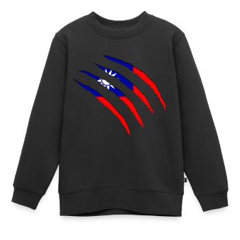 Taiwan - Kinder Premium Organic Sweatshirt - Schwarz - Vorne - AI Model Kid Female (0cm)