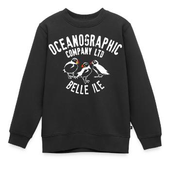 Ozeanographische Belle Ile - Kinder Premium Organic Sweatshirt - Schwarz - Vorne - AI Model Kid Female (0cm)