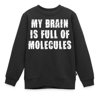 Brain full of molecules - Kids Premium Organic Sweatshirt - black - Front - AI Model Kid Female (0cm)